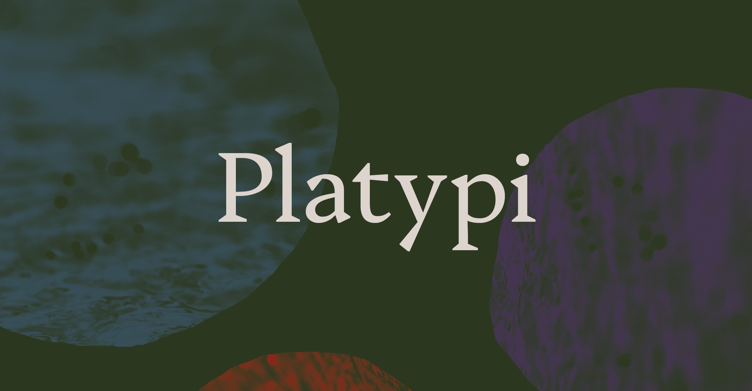 Шрифт Platypi
